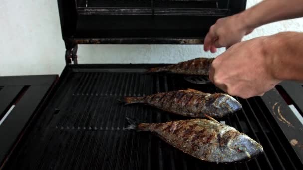 Cozinhar peixe na grelha — Vídeo de Stock