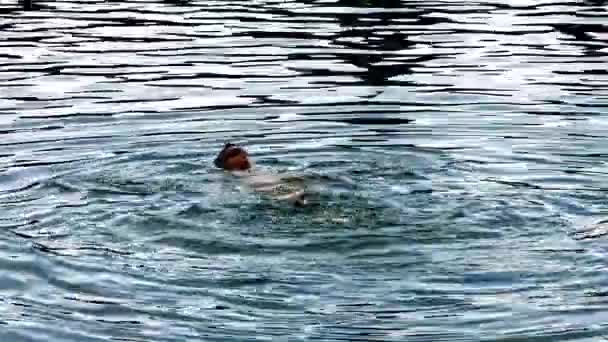 Mujer en el agua nadando — Vídeos de Stock