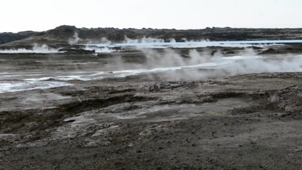 Terreno geotermicamente activo — Vídeo de Stock