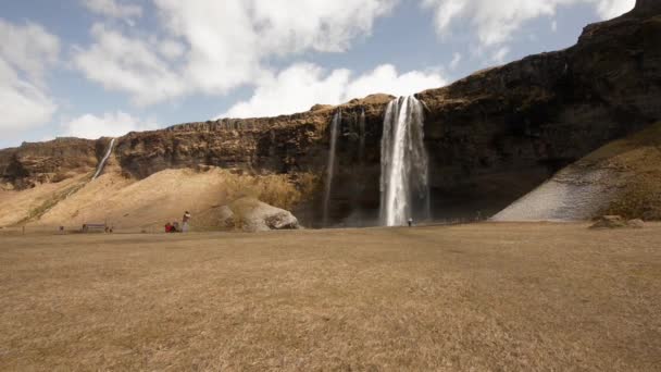 Waterval in IJsland — Stockvideo