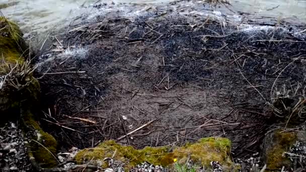 Agua contaminada que fluye — Vídeo de stock