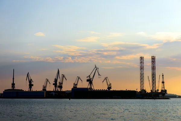 Industrial cargo cranes in the dock — Stock Photo, Image