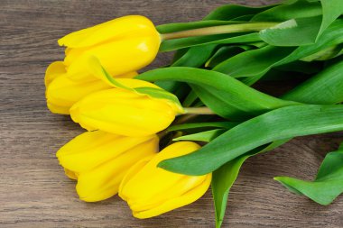 Ahşap arka plan üzerinde güzel Sarı laleler
