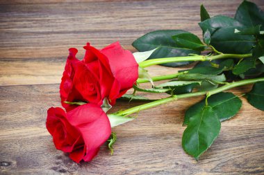 Güzel kırmızı gül çiçek ahşap üzerine