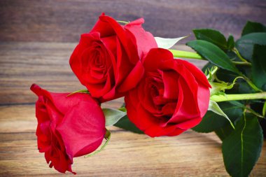 Güzel kırmızı gül çiçek ahşap üzerine
