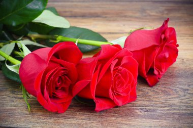 Güzel kırmızı gül çiçek ahşap üzerine