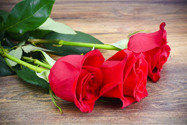 Güzel kırmızı gül çiçek ahşap üzerine