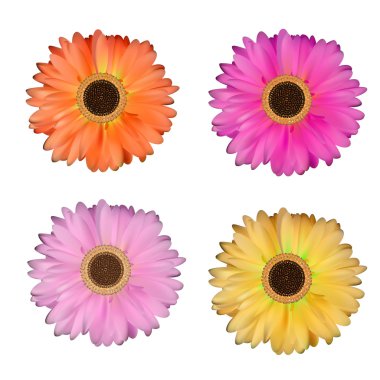 Gerbera çiçek beyaz arka plan vektör çizim ayarla