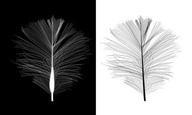 Siyah ve beyaz kuş tüyü vektör resimde çizilmiş.