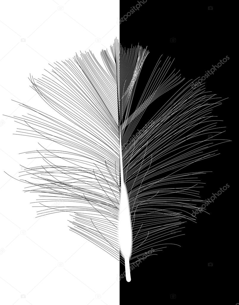ベクトル図に描かれた黒い鳥の羽 ストックベクター C Yganko ベクトル図に描かれた黒い鳥の羽 ストックベクター C Yganko