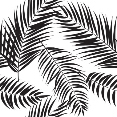 Beautifil palmiye ağacı yaprak siluet Dikişsiz desen arka plan