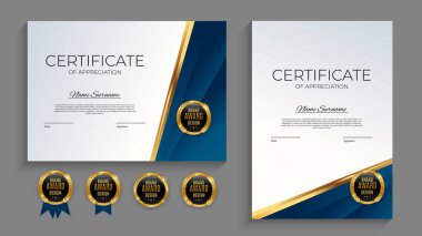 Altın rozetli ve sınırlı mavi ve altın başarı sertifikası. Ödül diploması tasarımı boş. Vektör İllüstrasyonu