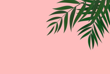 Doğal Gerçekçi Yeşil ve Altın Palmiye Yaprağı Tropikal Arkaplan. Vektör illüstrasyonu