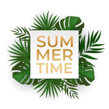 Doğal Gerçekçi Yeşil Palmiye Yaprağı Tropikal Arkaplan. Yaz Zamanı Konsepti. Reklam, web, sosyal medya ve moda reklamları için şablon. Vektör illüstrasyonu