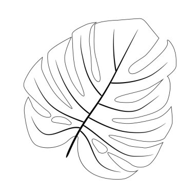 Beyaz arka planda izole edilmiş canavar yaprağının siyah siluetleri. Vektör illüstrasyonu