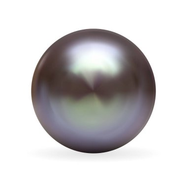 Gerçekçi 3 boyutlu Pearl beyaz arka planda izole edilmiş. Vektör İllüstrasyonu