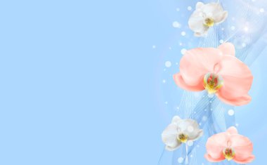 3D Gerçekçi Doğal Orkide çiçeği mavi arka planı. İlanlar, broşürler ya da dergi arkaplanı için tasarım şablonu. Vektör Illustration EPS10