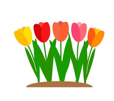 Basit lale çiçeği. Vektör Illustration EPS10