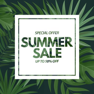 Yaz satışı posteri. Tropikal Palm Leaves ile Doğal Arka plan, egzotik plumeria çiçeği. Vektör İllüstrasyonu