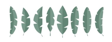 Tropik yapraklar basit bir koleksiyon seti. Vektör illüstrasyonu EPS