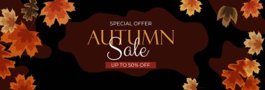 Sonbahar satış arkaplanı ve dökülen yapraklar. Sosyal ağda hikaye iletisi olarak kullanılabilir. Vektör Illustration EPS10