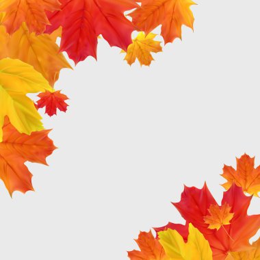 Düşen yapraklarla sonbahar doğal arkaplan şablonu