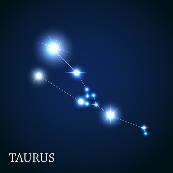 Taurus Zodiac Sign of the Beautiful Bright Stars Vector Illustra
