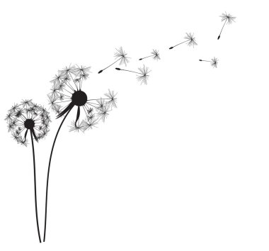 patinadores de color