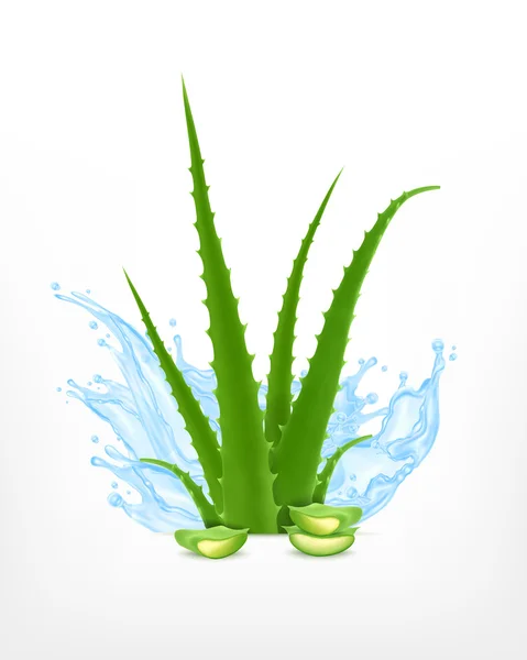 Aloe su ile — Stok Vektör