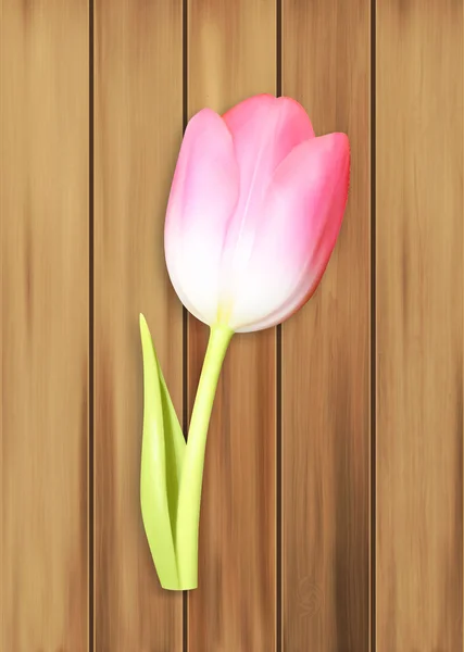 Tulipán rosa sobre madera — Vector de stock