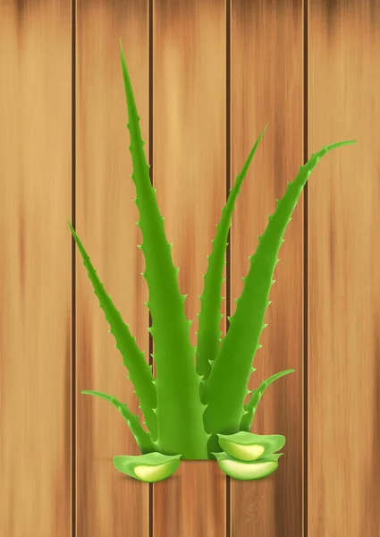 Aloe su legno — Vettoriale Stock