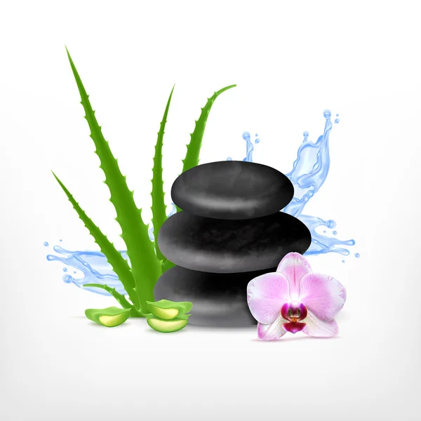 Piedra de spa con aloe — Vector de stock