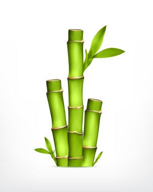 Stem of bamboo clipart