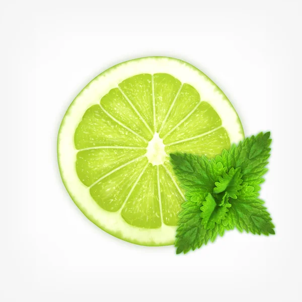 Lime skiva med mynta — Stock vektor