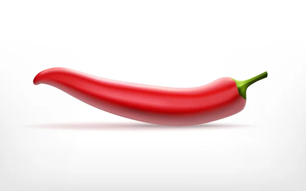 Rød chili-pepper – stockvektor