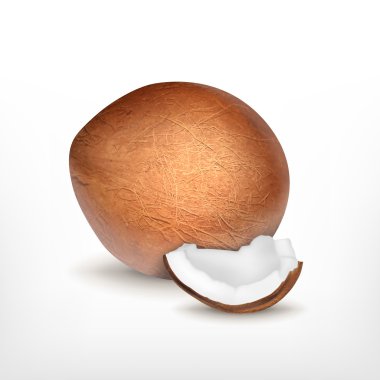 Hindistan cevizi wth dilim