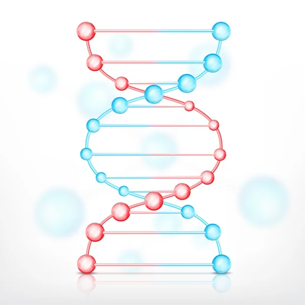 ДНК на белом — стоковый вектор