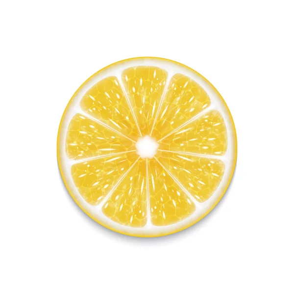 Lemon slice — Stock Vector