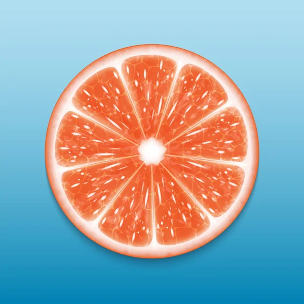 Grapefruitscheibe — Stockvektor