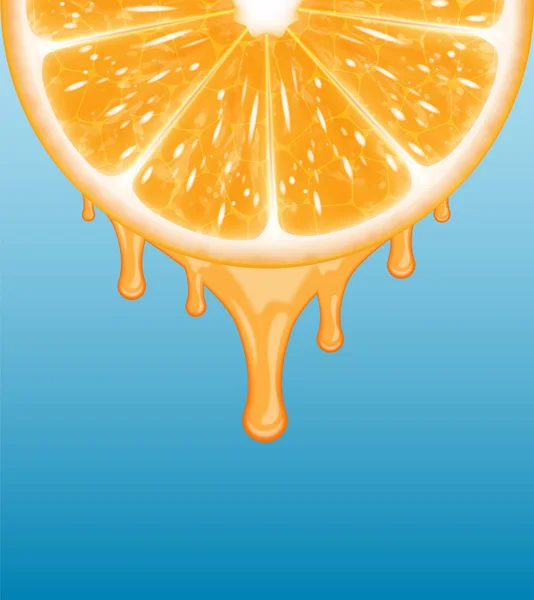 Rebanada naranja — Vector de stock