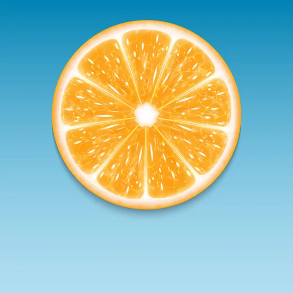 Plátek pomeranče — Stockový vektor