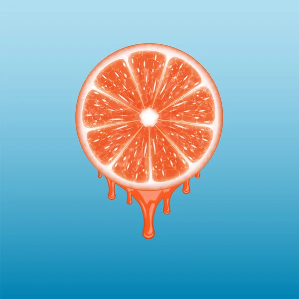 Grapefruity řezy — Stockový vektor
