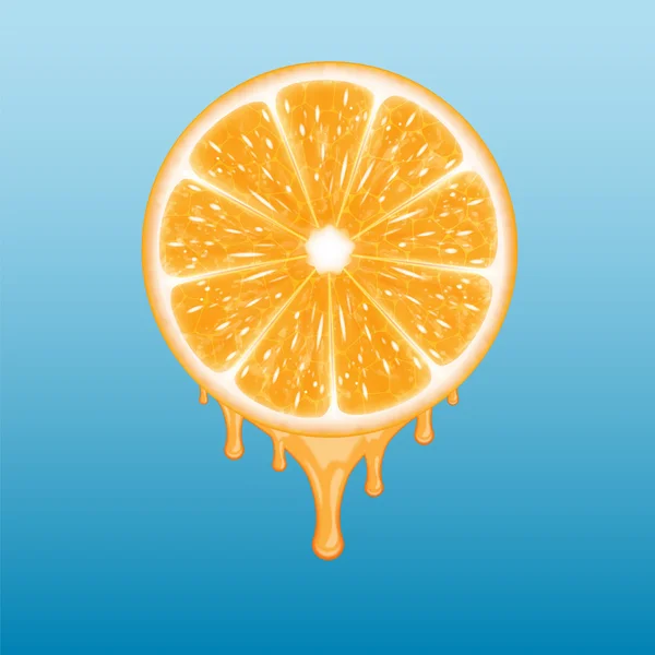 Orangenscheibe — Stockvektor