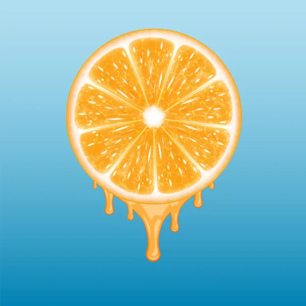 Rebanada naranja — Vector de stock