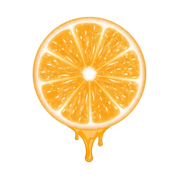 Rebanada naranja — Vector de stock