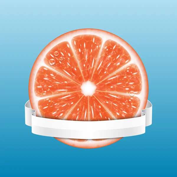 Grapefruitscheibe — Stockvektor