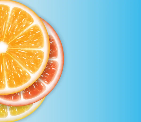 Citrus fruit — Stock Vector