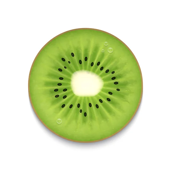 Kiwi slice — Stock Vector
