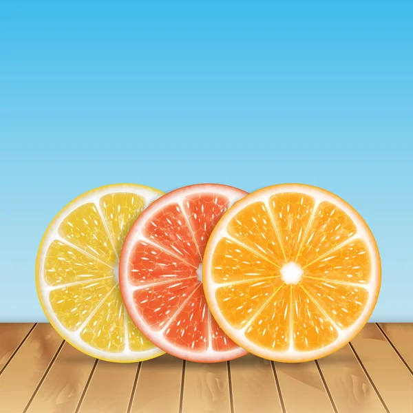 Citrus fruit — Stock Vector