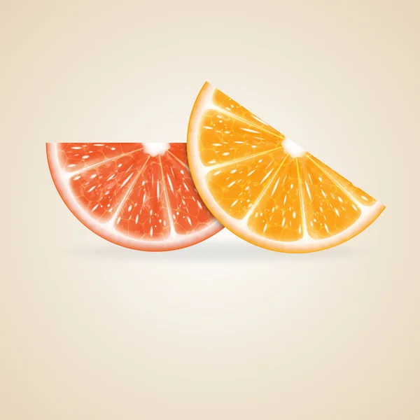 Citrus fruit — Stock Vector